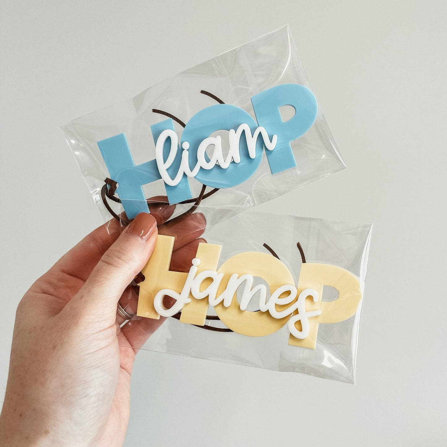 3D HOP Tag